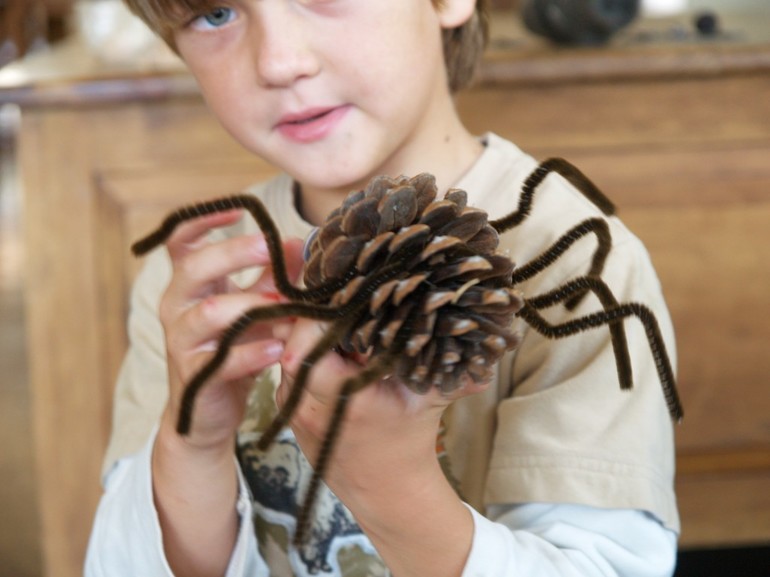 Cone spider