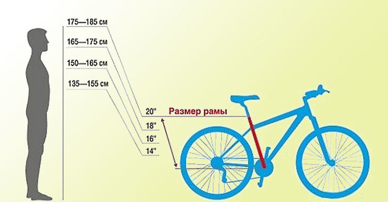 Conseils pour vous aider à choisir le bon vélo pour hommes