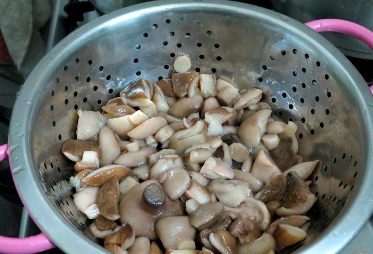 The butterflies are sorted and put in a colander.