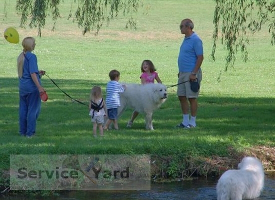 Comment laver l'herbe