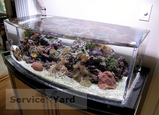 How to remove odor from an aquarium