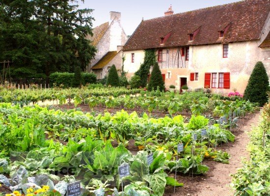 Comment se débarrasser des taupes?