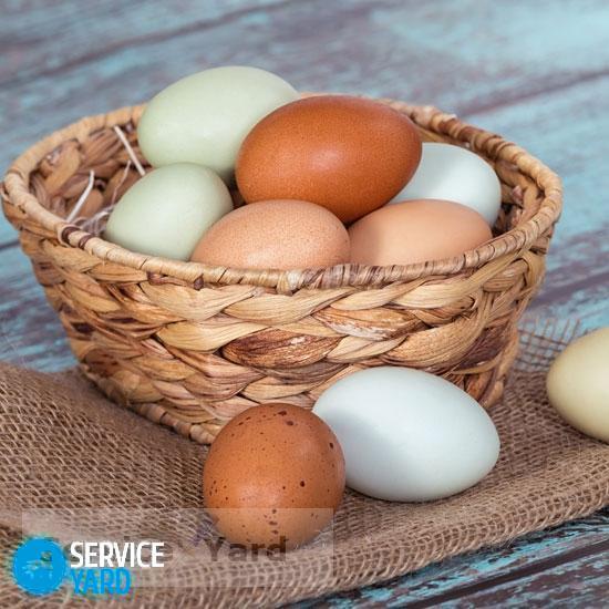 watermarked - egg-basket jpg