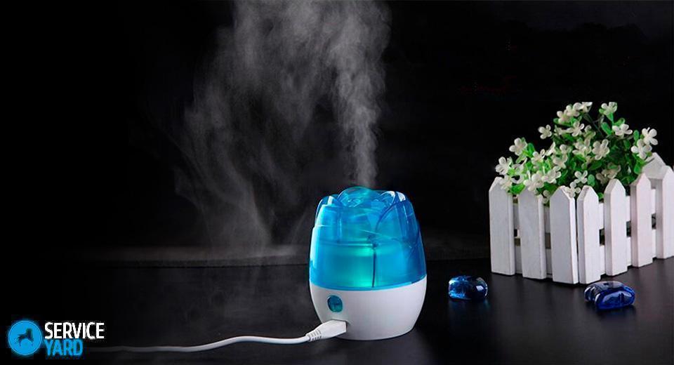 to_put_humidifier2