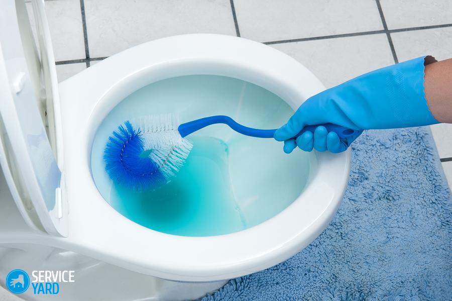 A woman cleans a bathroom toilet with a scrub brush.